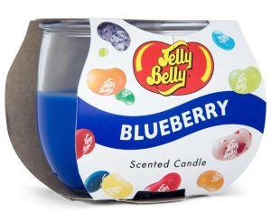 Candles |    Scented Candle 85g – Blueberry Candles Candles