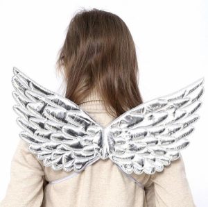 Party Themes |   Silver Angel Wings Party & Toys Party Themes